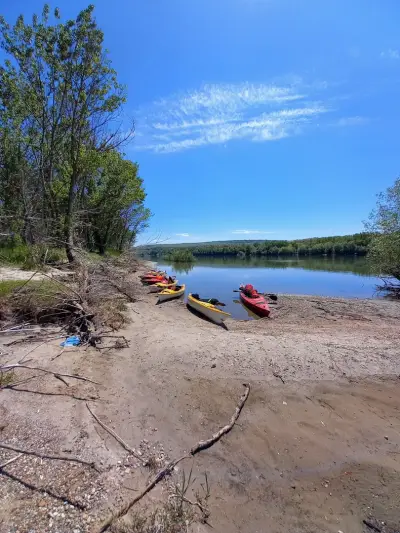 Camping Dunav