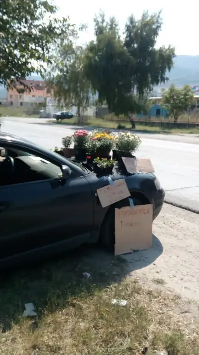 Продажба На Цветя :Производител