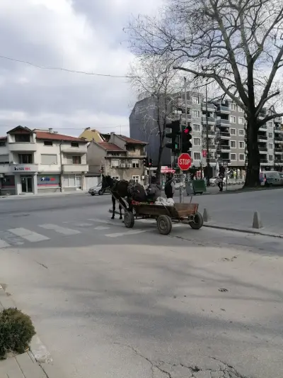 Лев Инс