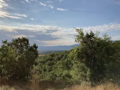 КЪЩА ЗА ГОСТИ МАРИ