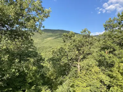 КЪЩА ЗА ГОСТИ МАРИ