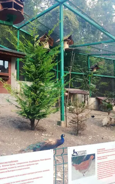 Шуменски зоопарк