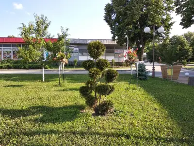 АВТОГАРА СМЯДОВО