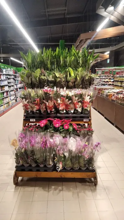 BulMag Супермаркет Retail Park
