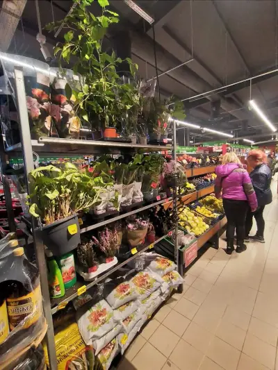 BulMag Супермаркет Retail Park