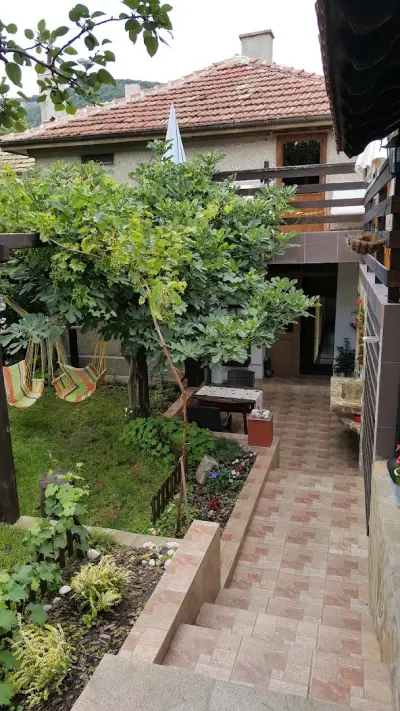 The Wild Fig