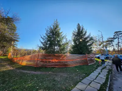 ТП на НОИ Велико Търново