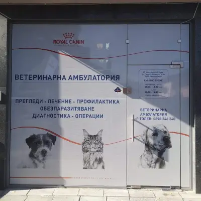 TOLEV VET