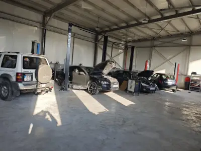 Evolve Automotive Service