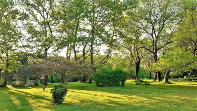 Sunny Days - Park Apartment