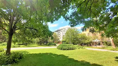 Sunny Days - Park Apartment