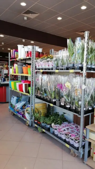 BulMag Супермаркет Тракийски