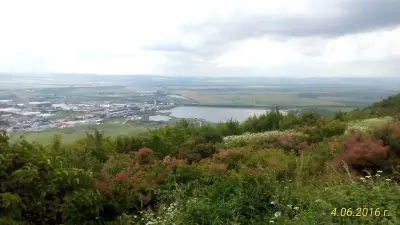 Интерлийз ауто