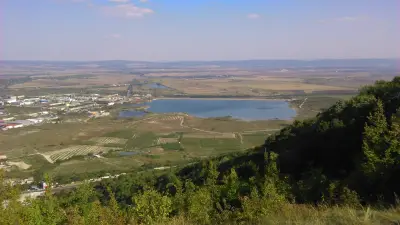 Интерлийз ауто