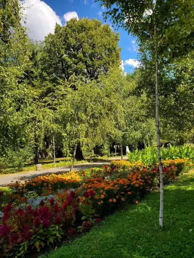 Градската градина