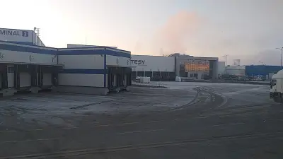 Фикосота