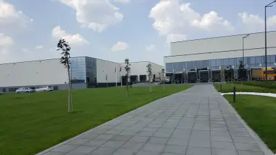Фикосота