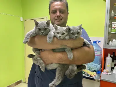 Ветеринарна клиника МедиВет гр. Ямбол