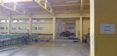 Белла България
