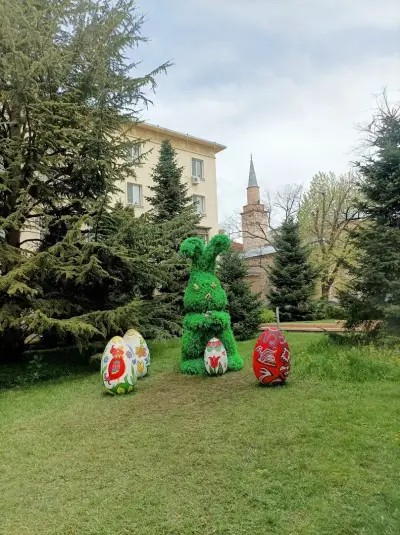 НП МГ Ямбол
