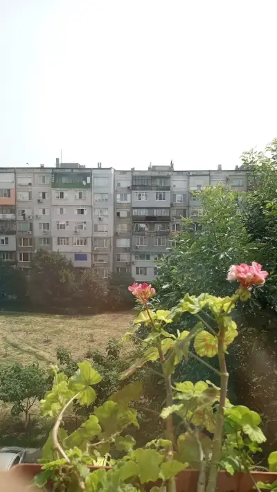 СПИДИ ЯМБОЛ - Н. ПЕТРИНИ