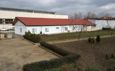 Хармонт