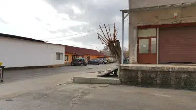 Хармонт