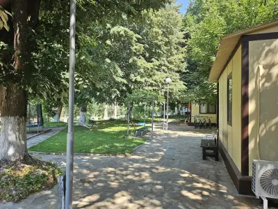 Къмпинг Арда