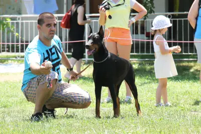 Defender of Bulgaria kennel