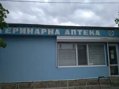 АВТОМОРГА ФРАНЦ ЯМБОЛ / Автоморга Ямбол / Автокъща Ямбол / Внос на коли Ямбол / Франц Ямбол
