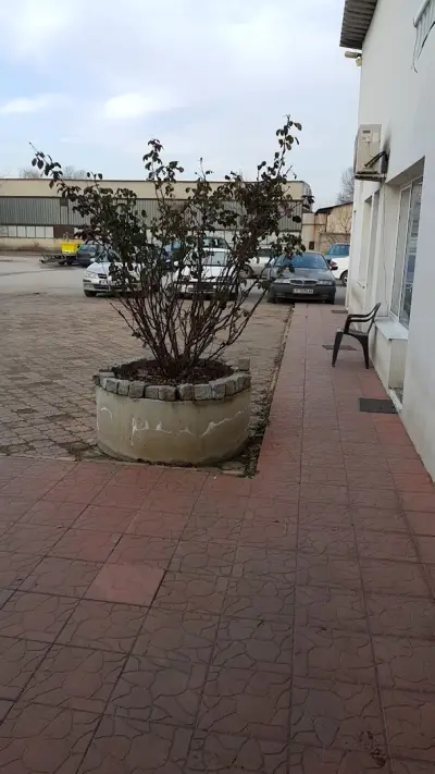 АВТОМОРГА ФРАНЦ ЯМБОЛ / Автоморга Ямбол / Автокъща Ямбол / Внос на коли Ямбол / Франц Ямбол