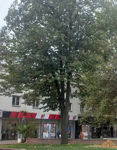 А1