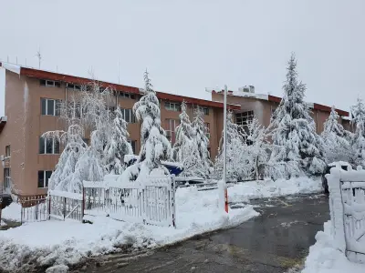 Община Стамболово