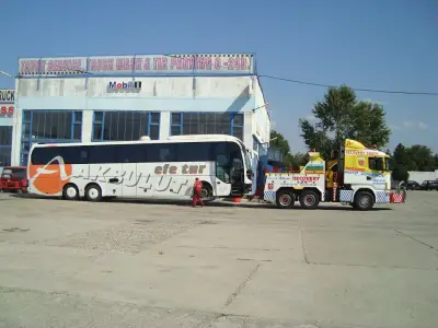 Autocomplex Dimitrov
