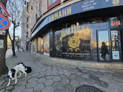 ЛИМАНИ