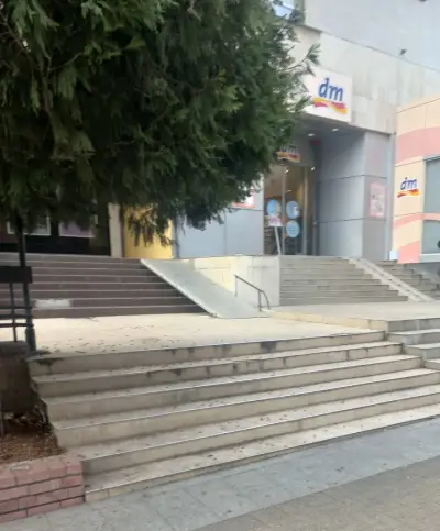 dm България