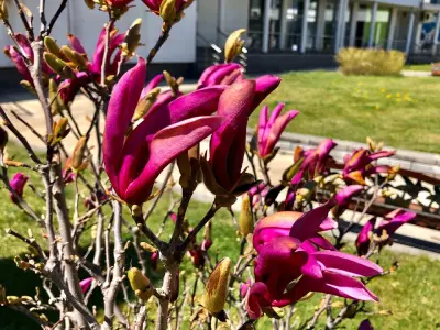 Spring Care Exotic Tours