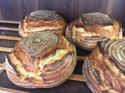 Хрупкавата Коричка Майстор Пекар Хасково