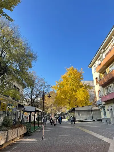 Hotel Magura