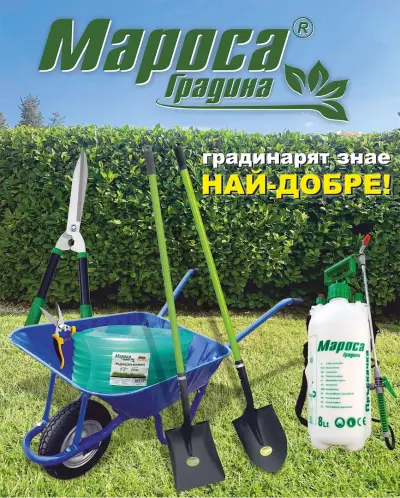 Marossa / Мароса Градина
