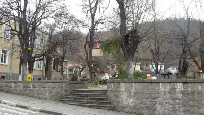 Начално училище "Васил Петлешков"