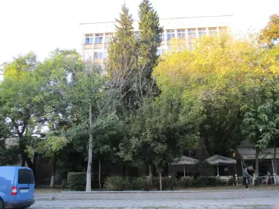 Начално училище "Отец Паисий"