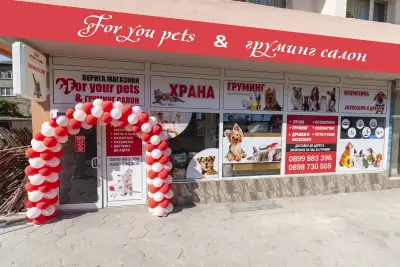 Груминг Салон и Зоомагазин