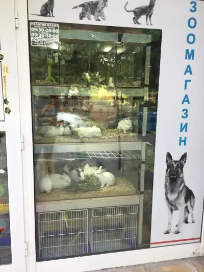 Зоомагазин "Воден свят"