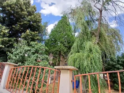 Община Лесичово
