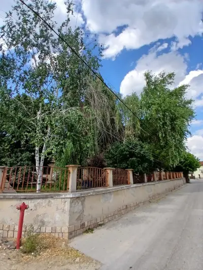 Община Лесичово