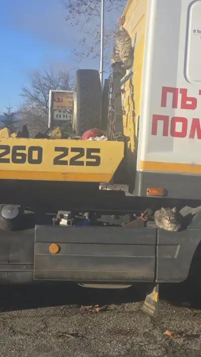 LUKOIL B053