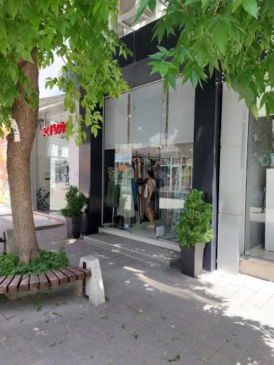 ЮНИДИС