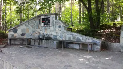 Розовски вриз