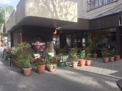 Шареното